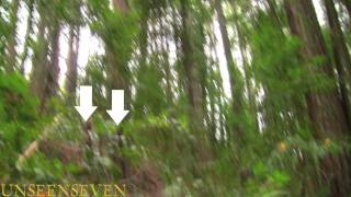 NEW BEST BIGFOOT VIDEO EVER!!!!!!!!!.unseenseven