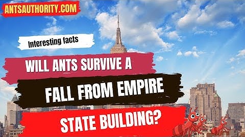 Will Ants Survive A Fall From Empire State Building?