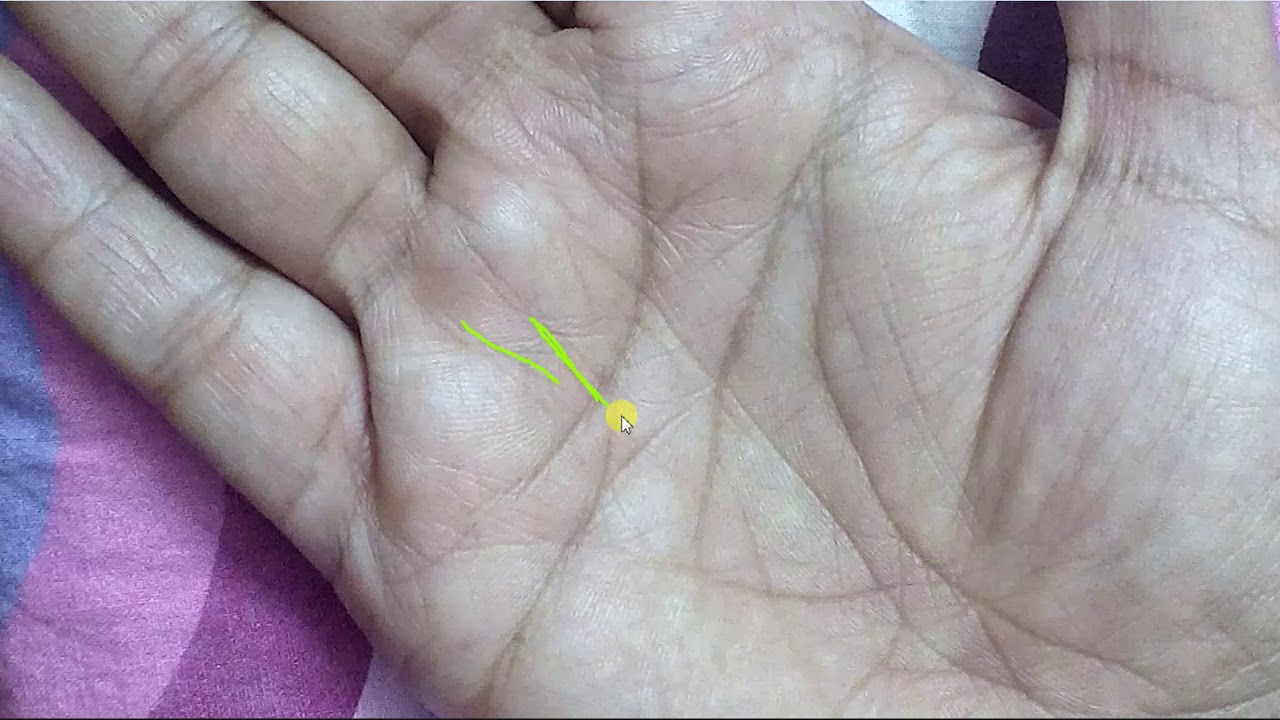 Broken and Overlapped Heart Line Mobile Number +917009126730 YouTube