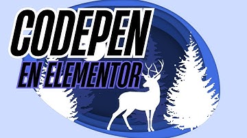 ✅ Añadir Codigo De Codepen HTML, CSS, JS y JS Externo a Una Página De  Elementor