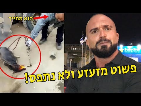 וִידֵאוֹ: האם אנשים אוכלים רע לכלבים? הסופר הזה אומר כן