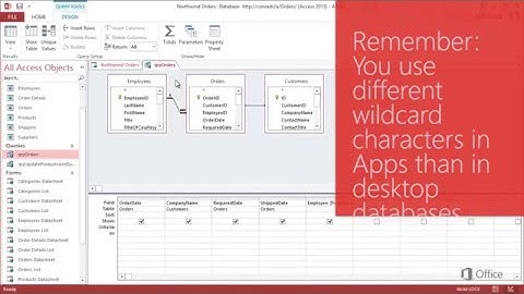 Chap 09 05 Using wildcards with parameter queries in access apps