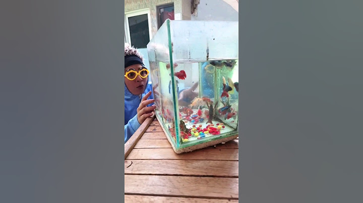 BELI IKAN CUPANG | TIKTOK KOCAK NURRAYNI25 #drama #komedi