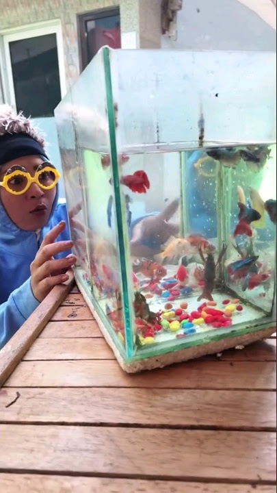 BUY BETTA FISH | HILARIOUS TIKTOK NURRAYNI25 #drama #comedy