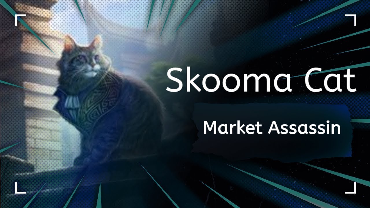 The Elder Scrolls Legends | Skooma Cat Market Assassin