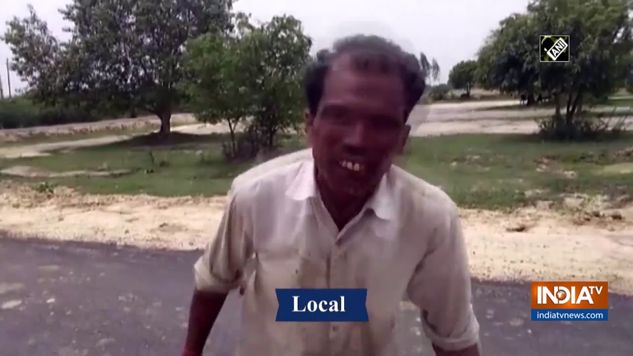 Locust swarm attacks UP`s Kannauj