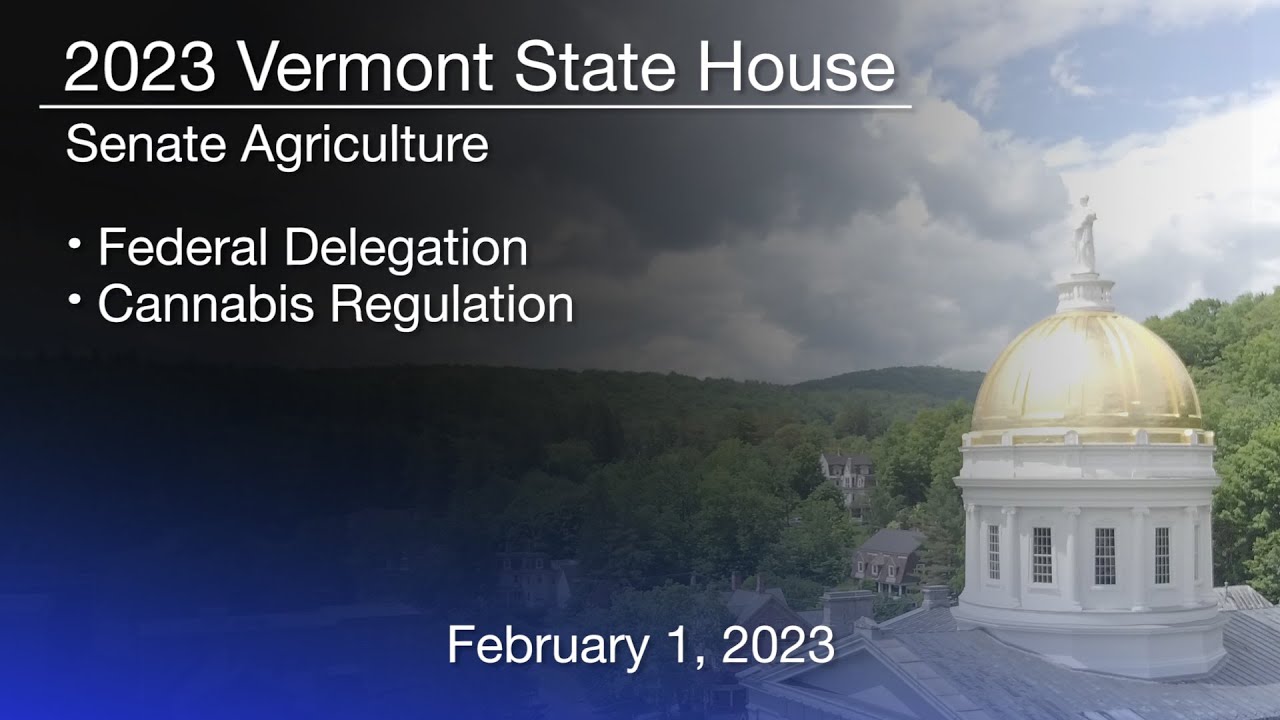 Vermont State House Federal Delegation and Cannabis Regulation 2/1