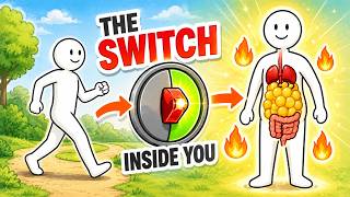 The Hidden Fat Burning Switch That Activates When You Walk