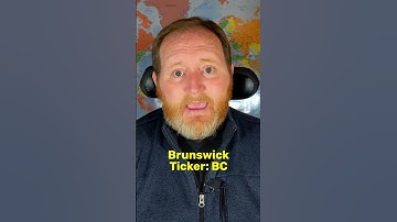 Brunswick Buys Navico | Business Update No.19 #Shorts