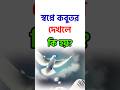 স্বপ্নে কবুতর দেখলে কি হয়? #shorts #islamic
