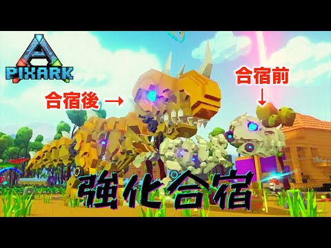 ピックスアーク PIXARK ピックスアーク - YouTube