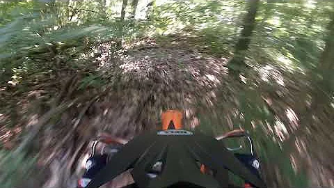 New loop with Dave