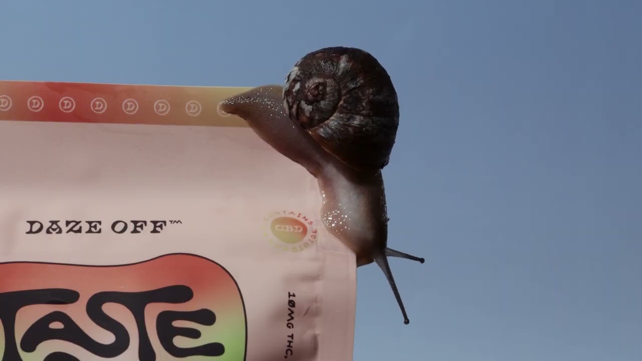 Snail's Day Out | Daze Off Taste Buds