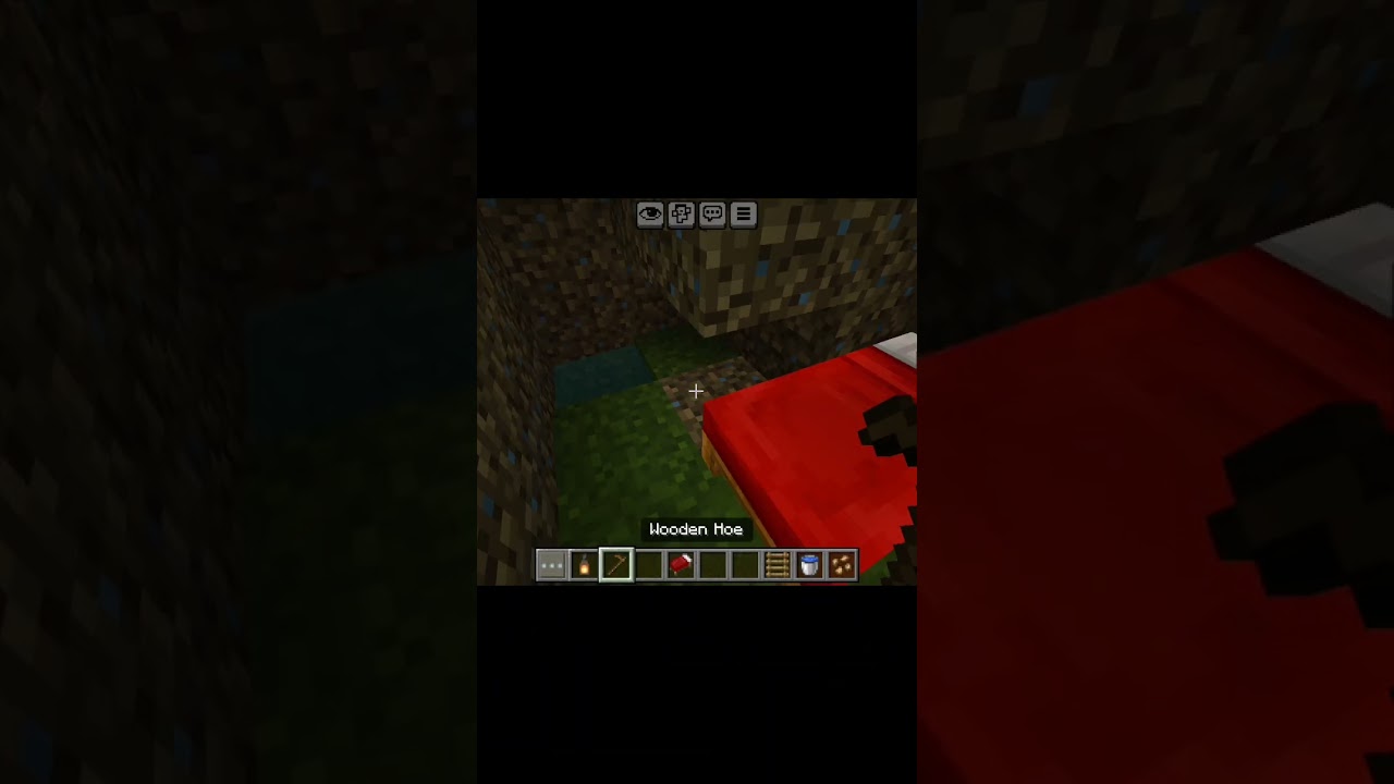 Minecraft| HOUSE  inside a TREE TRUNK🌳