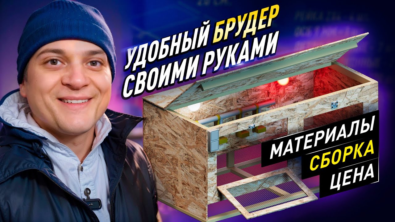Как сделать брудер для цыплят своими руками: практическое руководство