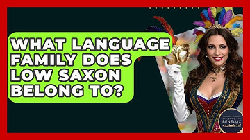 What Language Family Does Low Saxon Belong To? - Exploring The Benelux