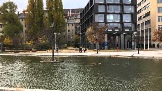 Iphone 6s plus camera test video slow motion