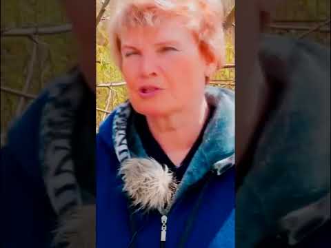 Самый простой способ
