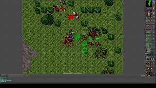 Blocking The Old Widow as a Royal Paladin – Tibia 7.5 Nostalgia!