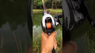 Shimano Antares DC Sound #shimano #baitcasting #shimanoantaresdc #fishing #shortvideo