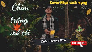 Chim trắng mồ côi - Đan Trường ft Cẩm Ly | Phiên bản nhạc đỏ| Xuân Dương PTA Cover (Xuân Dương Đinh)