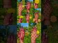 My new design mehendi creation #madebyradharan #youtubevideo #youtubeshorts #Radharanicreater #love