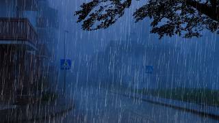Chuva para Dormir e Relaxar Profundamente - Barulho de Chuva Forte, Vento e Trovão à Noite #66 ASMR