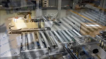 Labelling system for end of line production