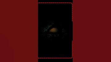 Find the odd one | Brain Games📍 #braingames #puzzles #mindteaser #logicgames