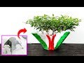 How To Make Plant Pot At Home | Easy Way to Make Cement Flower Pot