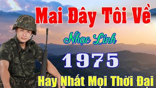 Mai Đây Tôi Về, Hai Chuyến Tàu Đêm .Nhạc Bolero Trữ Tình Hay Nhất 2025 - Liên Khúc Nhạc Xưa Bất Hủ