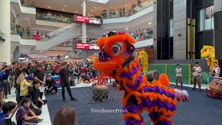 Australian Lion Dance Exhibition 2025 - Trung Han Qun Lion Dance and Martial Arts Team B
