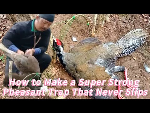 Part 4 : How to Make a Super Strong Pheasant Trap That Never Slips ...