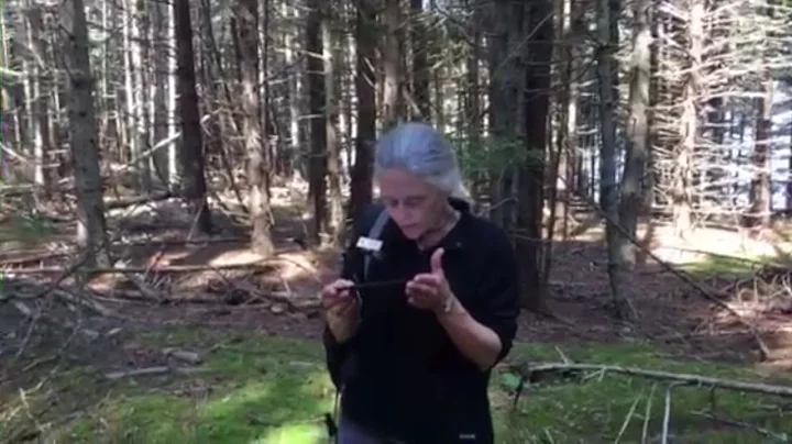 Using Forest Densiometers