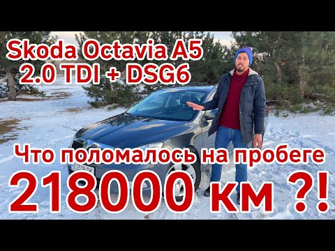 Обзор-Отзыв: Skoda Octavia A5 2.0 TDI + DSG6, сравнение с Renault Megane 3.