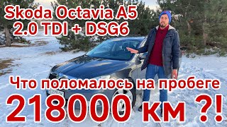 Обзор-Отзыв: Skoda Octavia A5 2.0 TDI + DSG6, сравнение с Renault Megane 3.