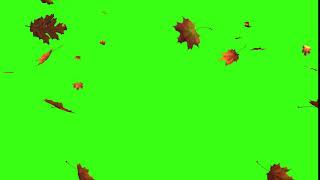 Autumn Leaves |Green Screen Effect
