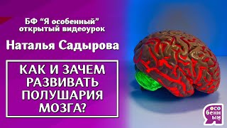 #Нейропсихология. Зачем и как развивать ребенку полушария мозга? Наталья Садырова. Дружба полушарий.