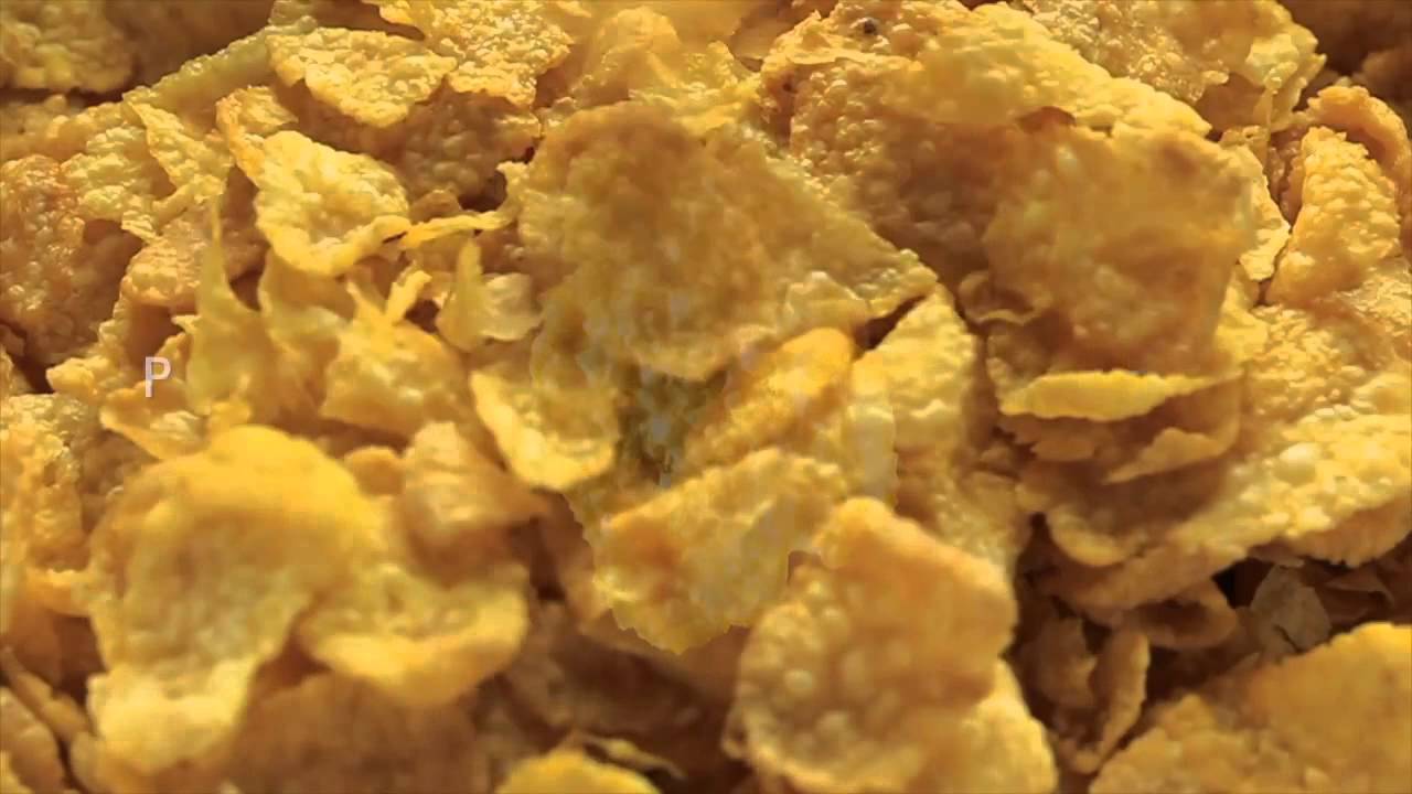 Présentation savoir faire Qualimatest par le contrôle de Corn Flakes
