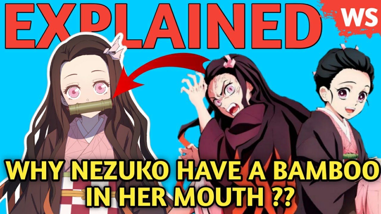 Why Does Nezuko Keep Bamboo In Her Mouth Vrogue co Why Does Nezuko Keep Bamboo In Her Mouth Vrogue co