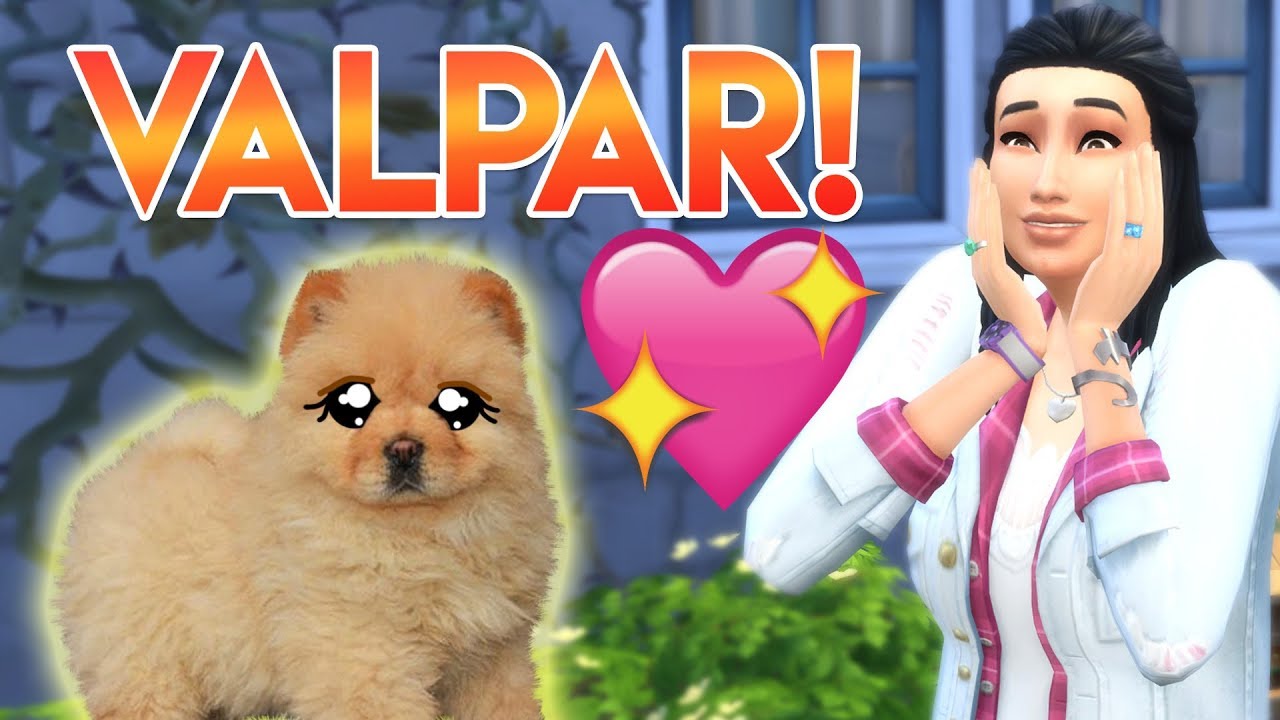 The Sims 4 Hundar Och Katter