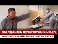 Жалданма жумуштан чыгып, жашоосун жаңы нукка салган Тахир