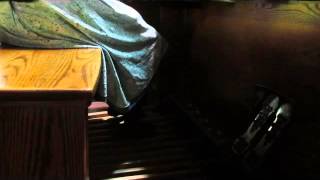 Easter Organ Postlude - Benita Prins (Organist)