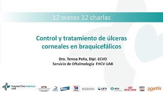 12 meses 12 charlas. Úlceras corneales en razas braquiocefálicas
