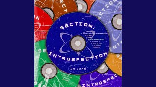 Intro : SECTION : INTROSPECTION