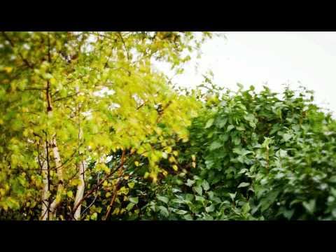 Bahroma - На семи холмах (Бахрома)