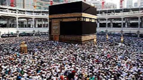 سورة الحج -(25 - 37)-(إن الذين كفروا ويصدون عن سبيل الله والمسجد الحرام) - تلاوة عبدالرحمن المحمودي
