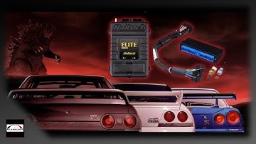 R33 Nissan Skyline GTS-T: Project Update And Haltech Install!