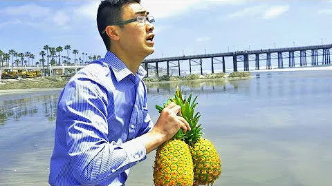 THROWING PINEAPPLES IN THE OCEAN TO DO WHAT?! | Ha...