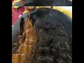 Sri Kalki Abhisheka Darshanam